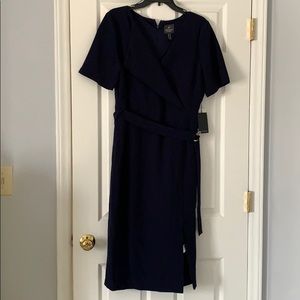 Adrianna Papell Navy Blue Sheath Dress